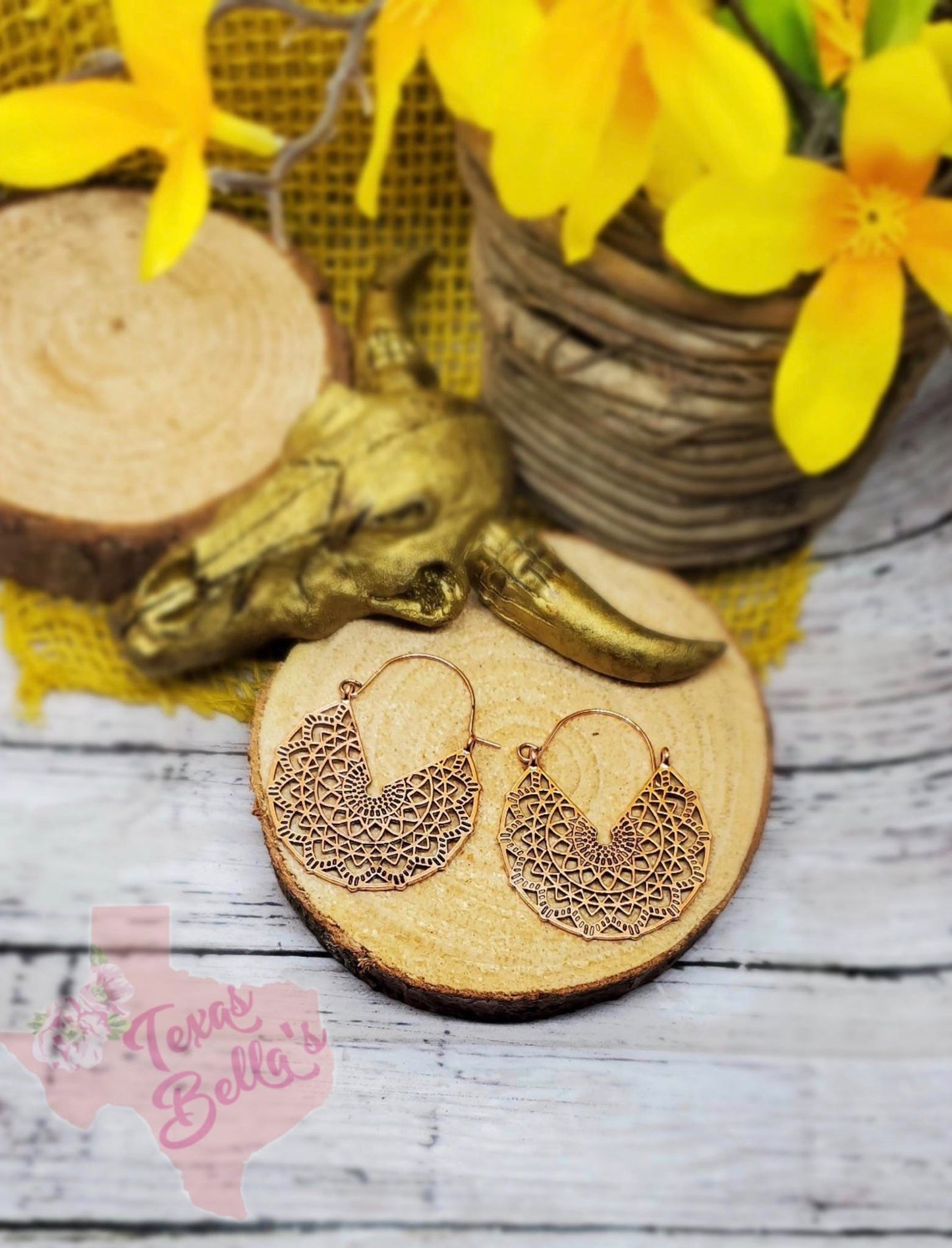 Bronze Earrings